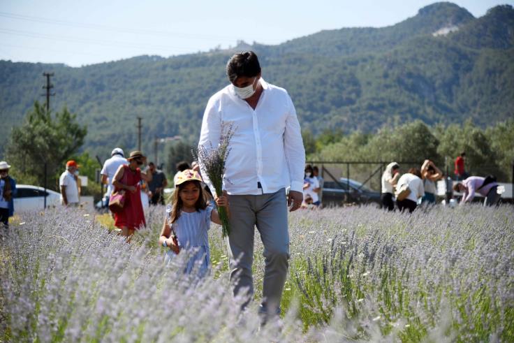 Fethiye’nin Koku Vadisi’nde ilk hasat