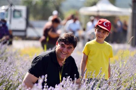 Lavanta bahçesinin üçüncü hasadı alındı