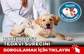 Saglik Sorgu